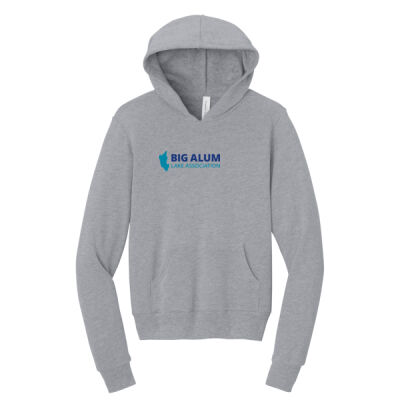 Big Alum - Youth Sponge Fleece Pullover Hoodie Thumbnail